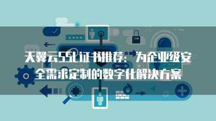 企業(yè)級(jí)服務(wù)器租用與互聯(lián)網(wǎng)安全定制服務(wù) 一站式解決方案